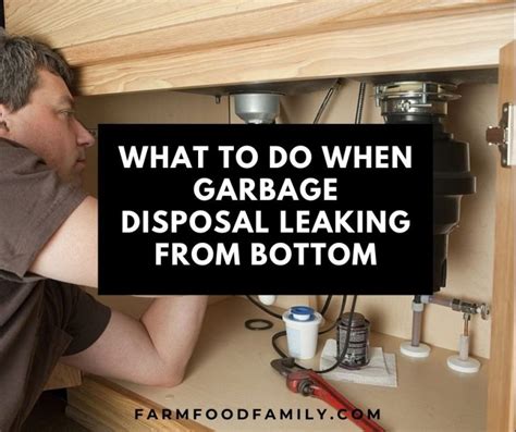 why is the bottom of my garbage disposal leaking|Garbage Disposal Leaking from Bottom: Quick Fix Solutions!